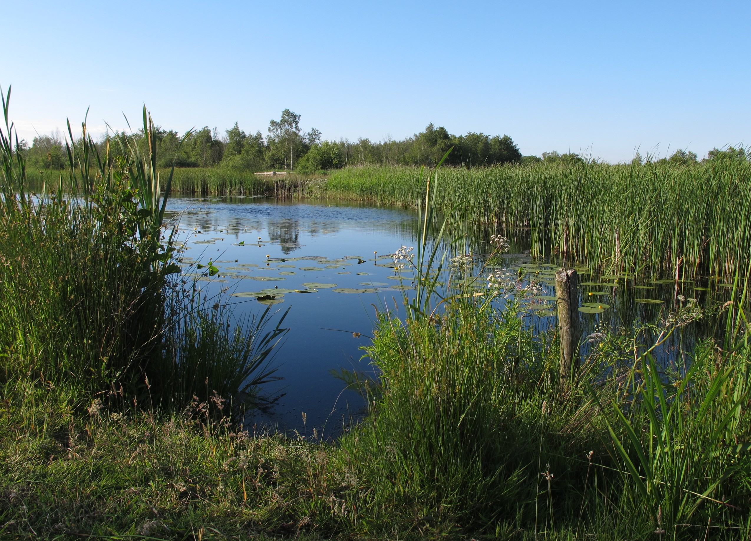 This is a photo or sound file made in De Alde Feanen National Park in the Netherlands, with the main subject of the file in the category: landscapes
