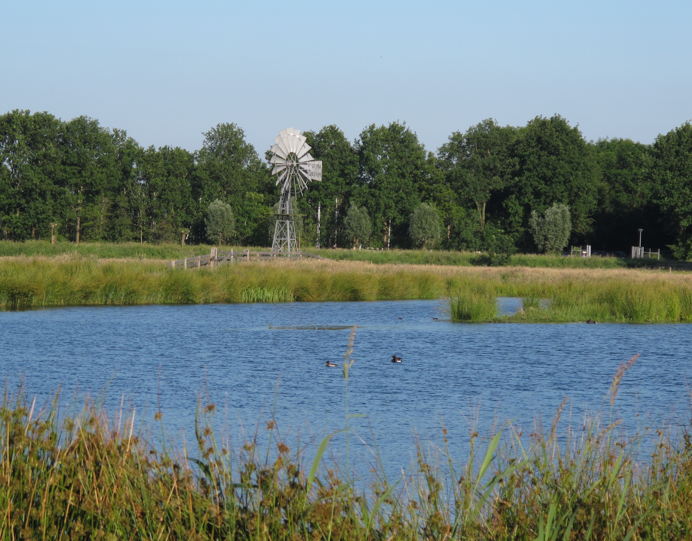 This is a photo or sound file made in De Alde Feanen National Park in the Netherlands, with the main subject of the file in the category: landscapes