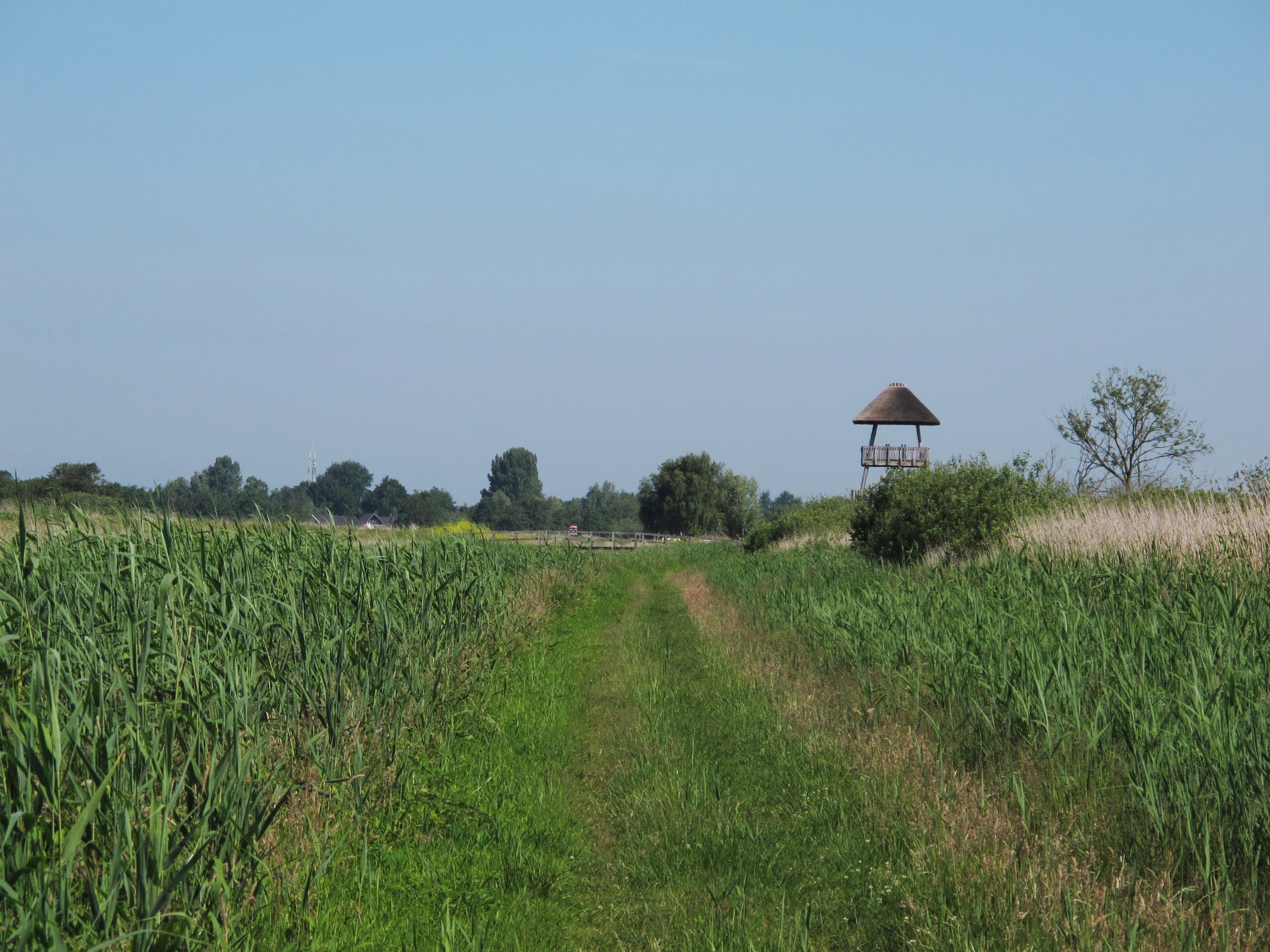 This is a photo or sound file made in De Alde Feanen National Park in the Netherlands, with the main subject of the file in the category: landscapes