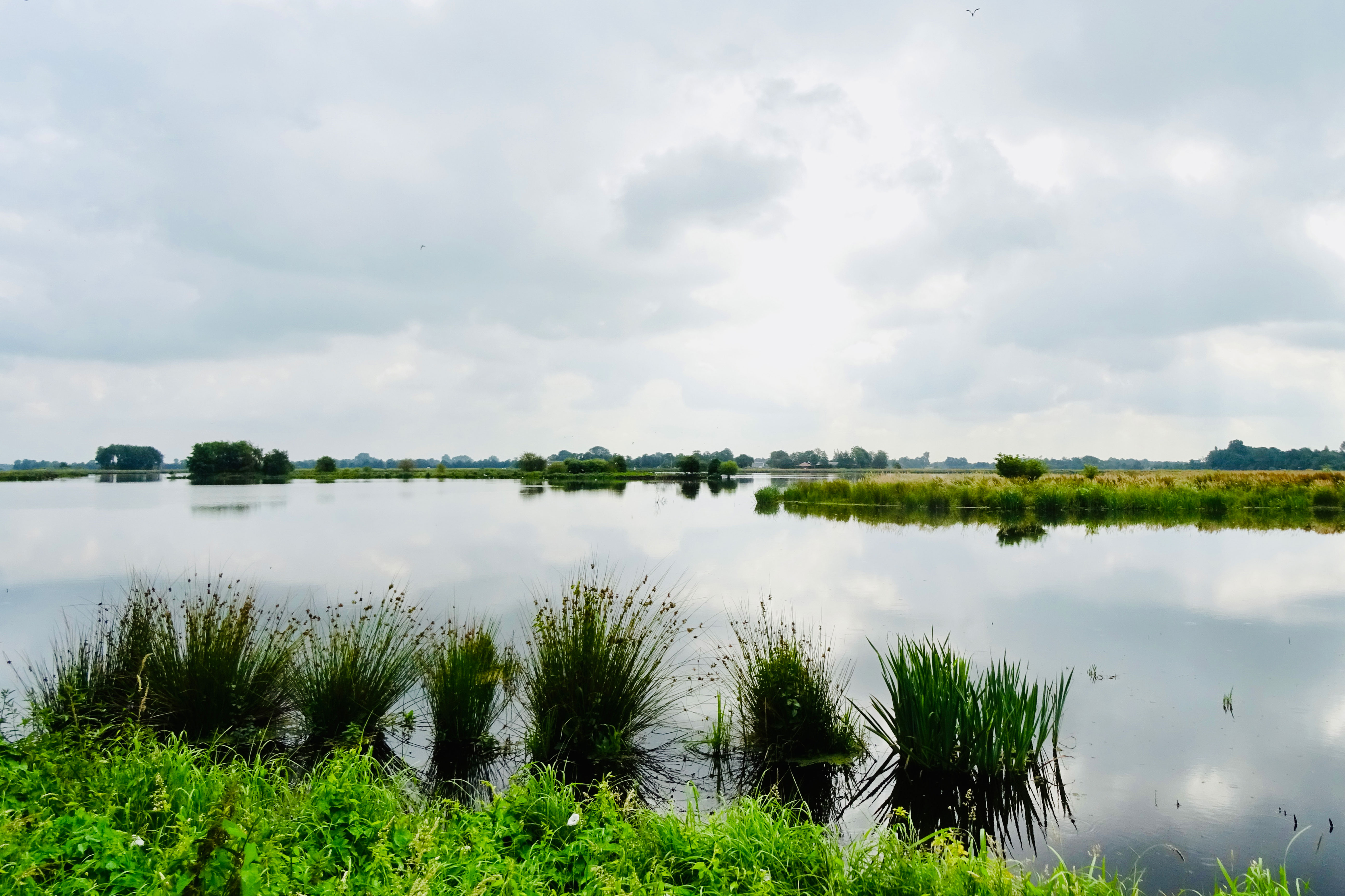 Het natuurgebied de Alde Feanen ten zuiden van Earnewâld