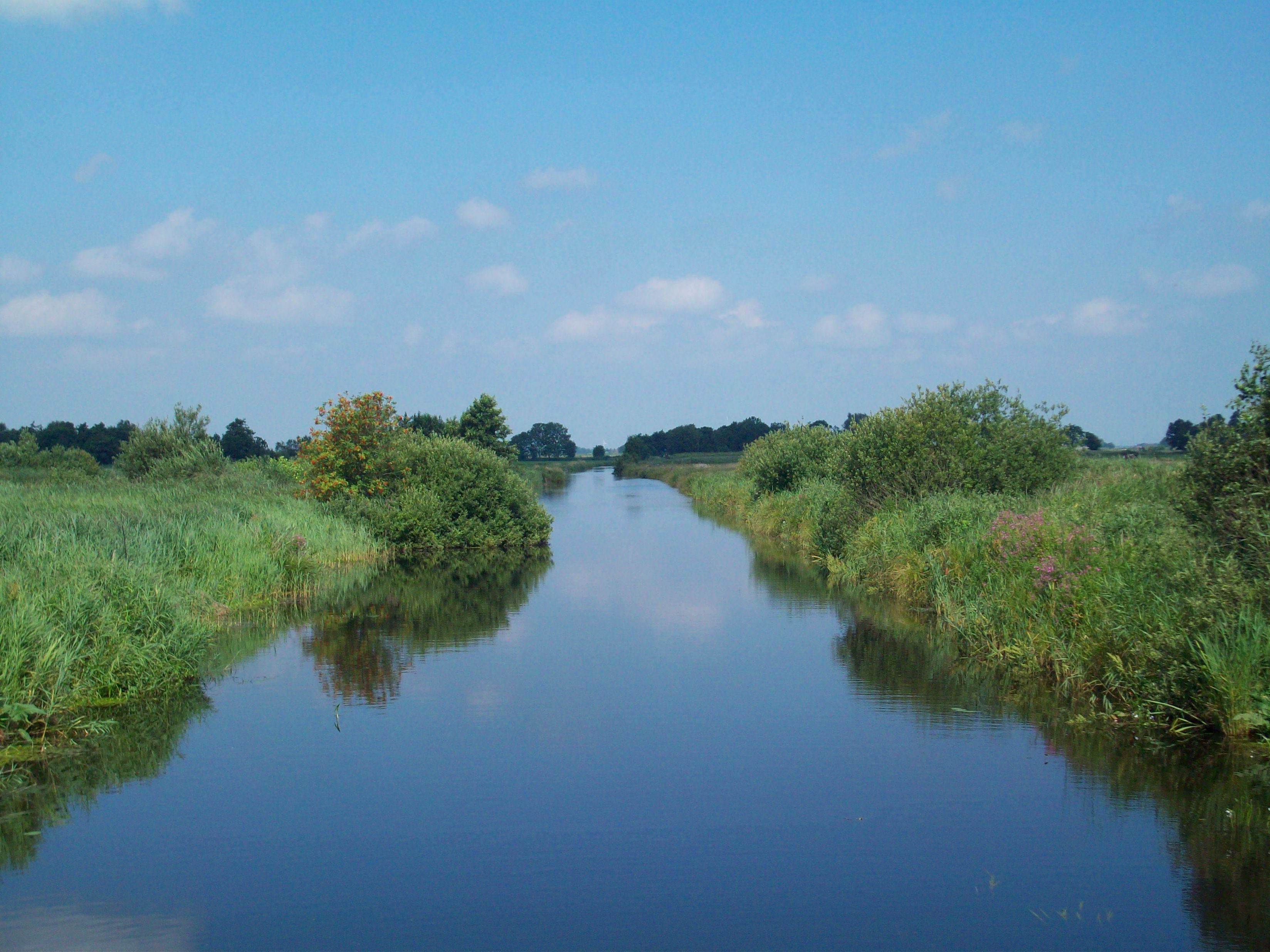 De Alde Feanen