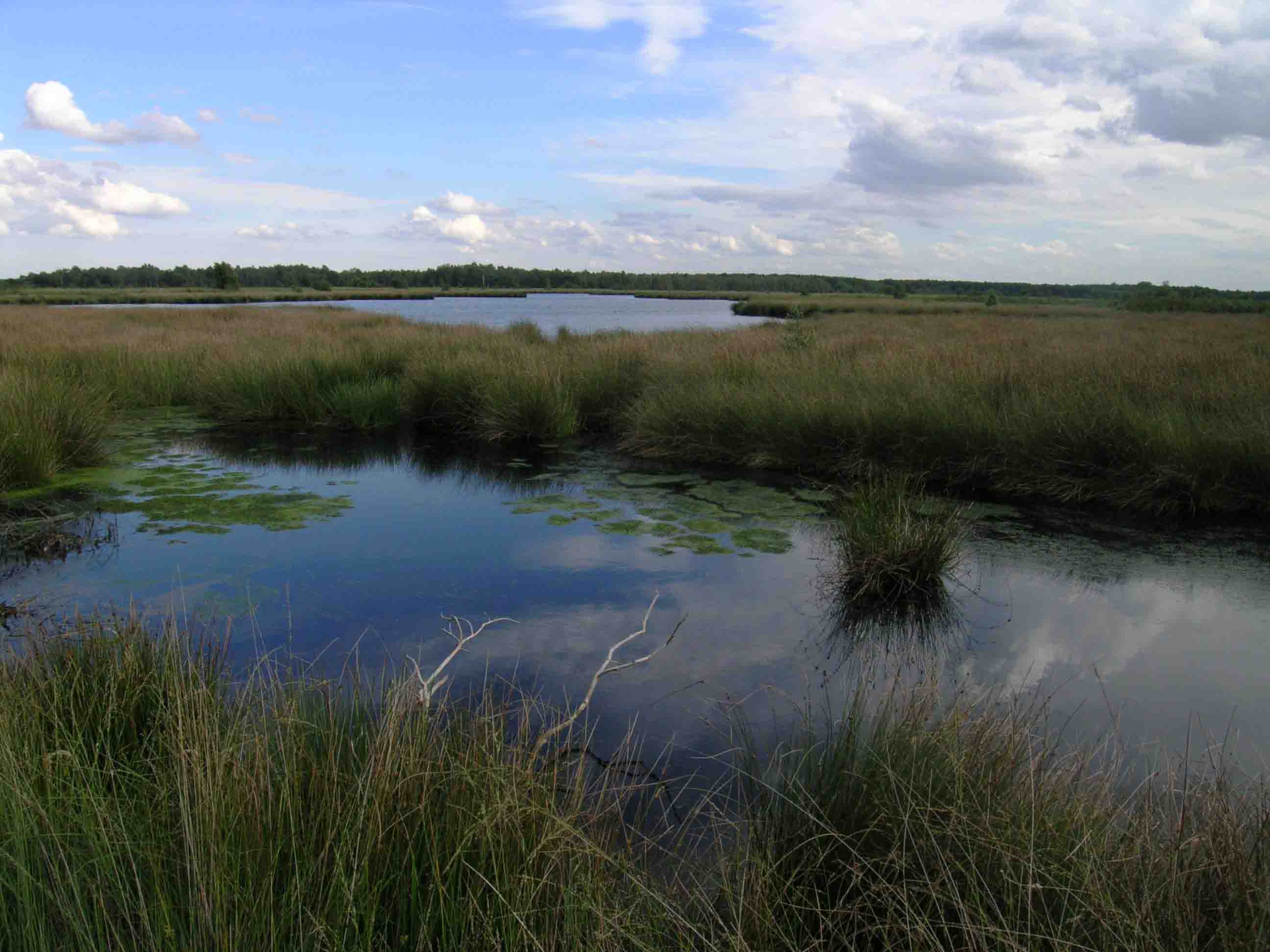 De Groote Peel
