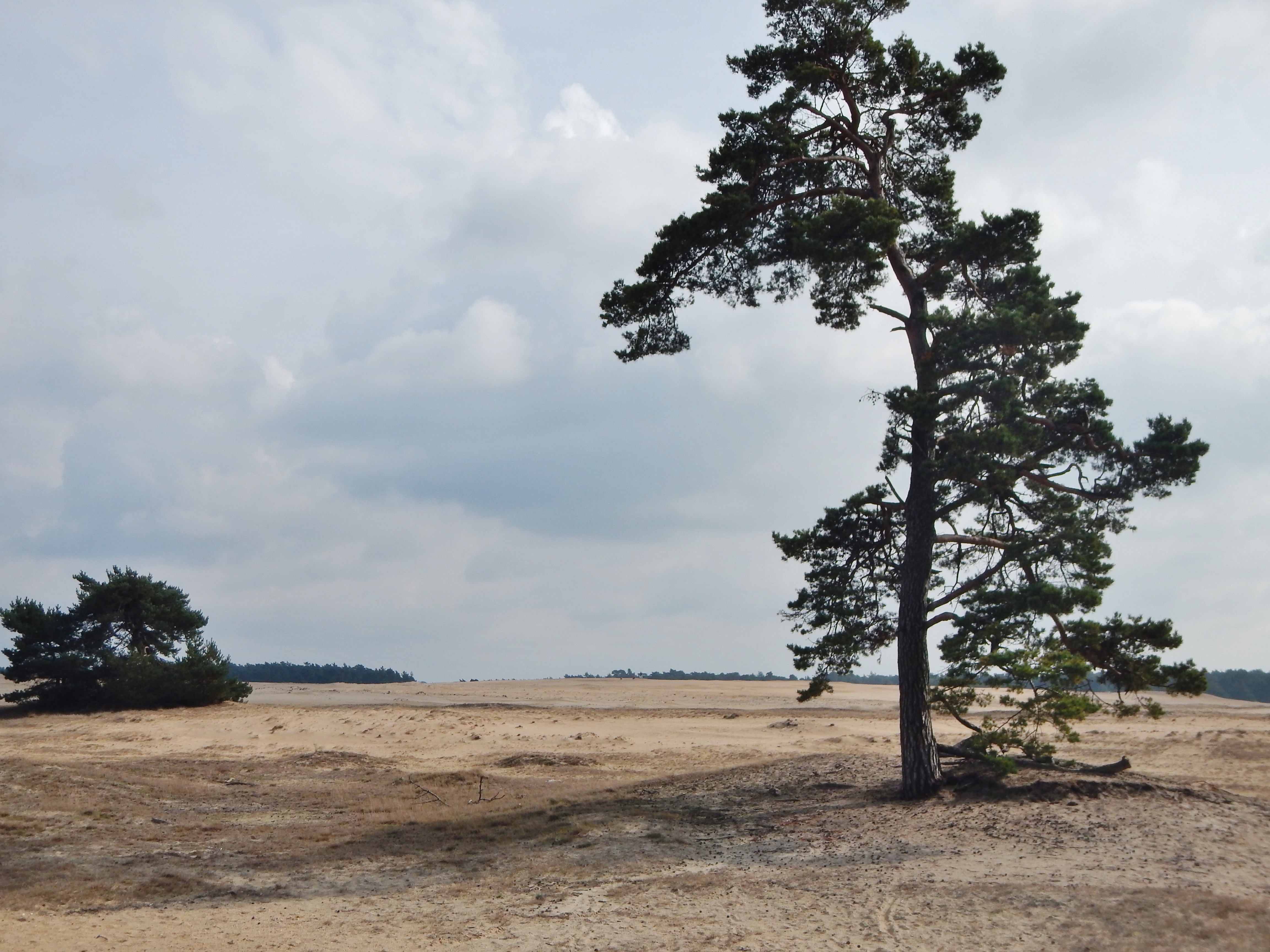 6731 Otterlo, Netherlands