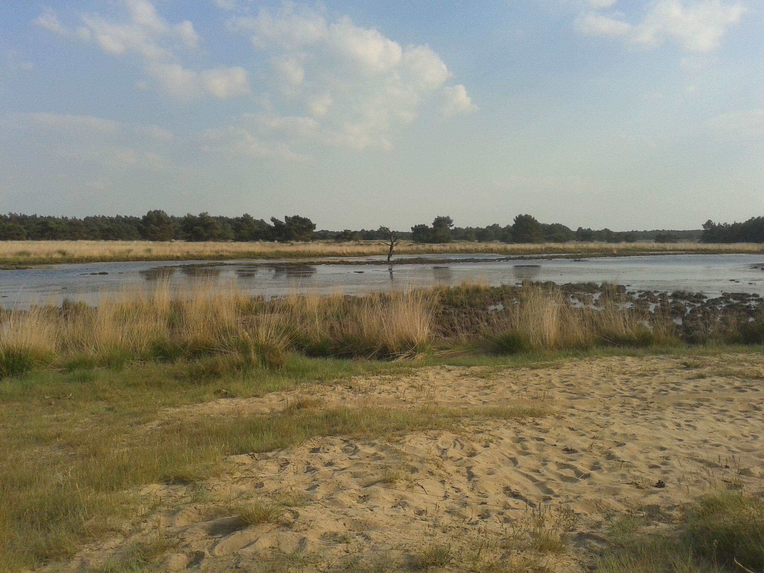 7352 Hoenderloo, Netherlands