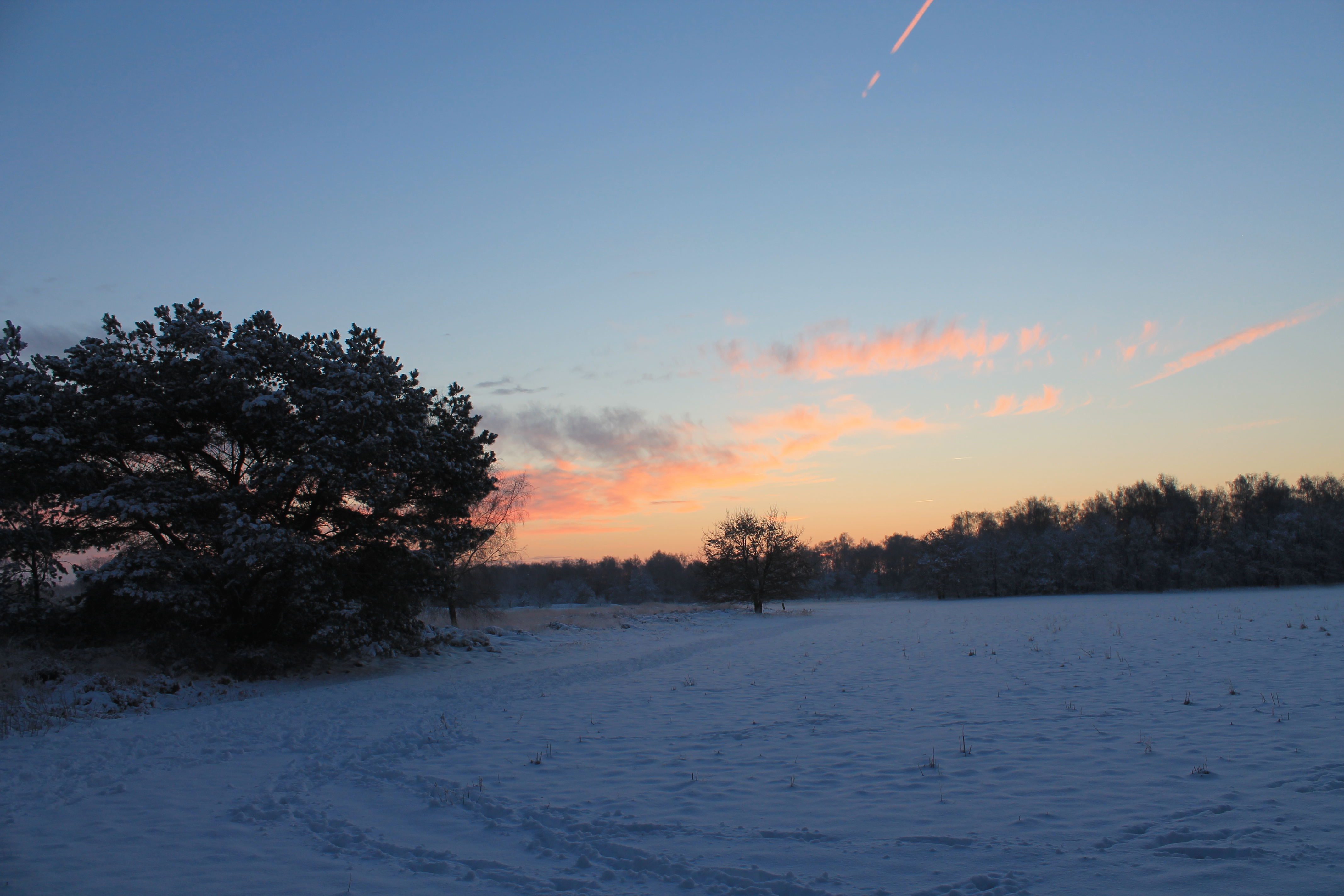 Zicht op een deel van het nationaal park De Maasduinen in de provincie Limburg