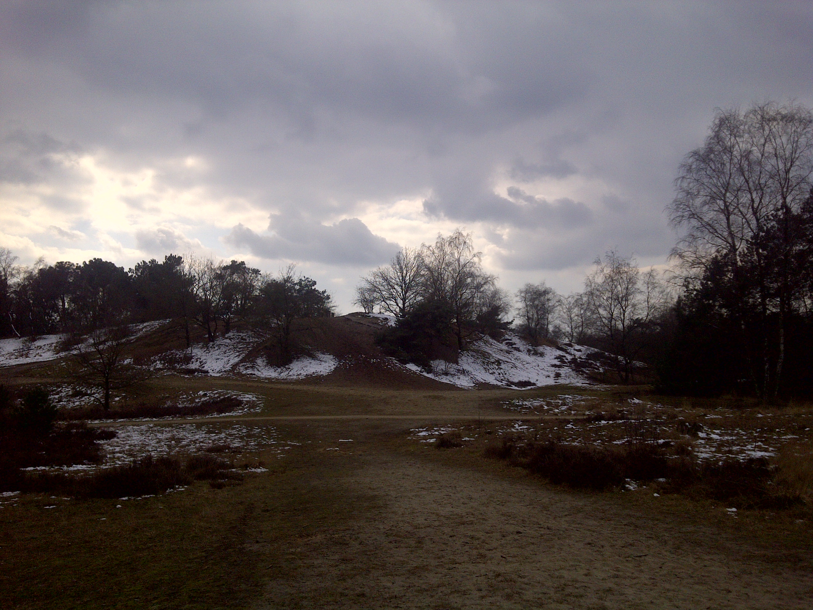 Zicht op een deel van de natuur in het nationaal park De Maasduinen nabij Bergen in het noorden van de provincie Limburg
