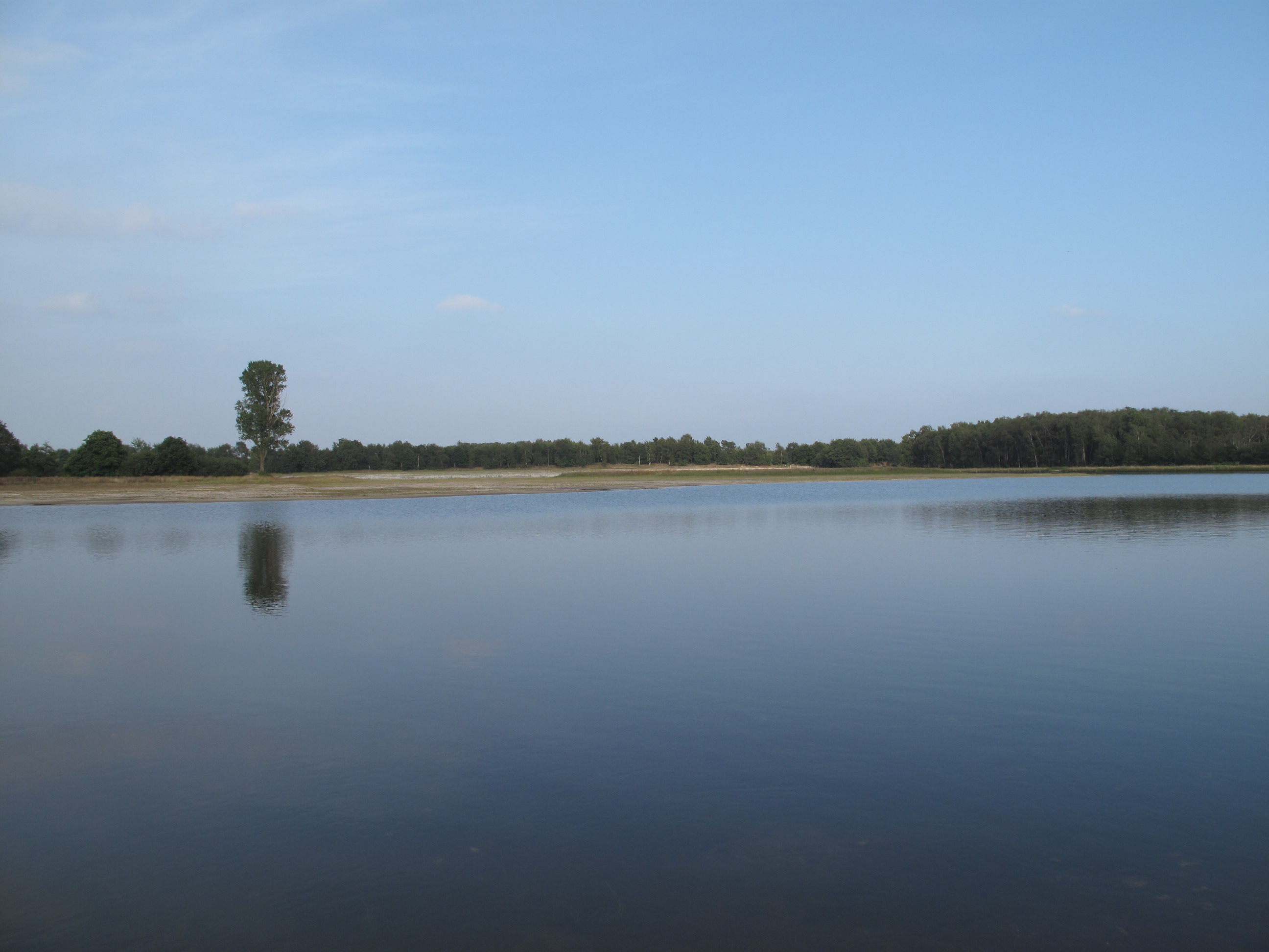 De Maasduinen