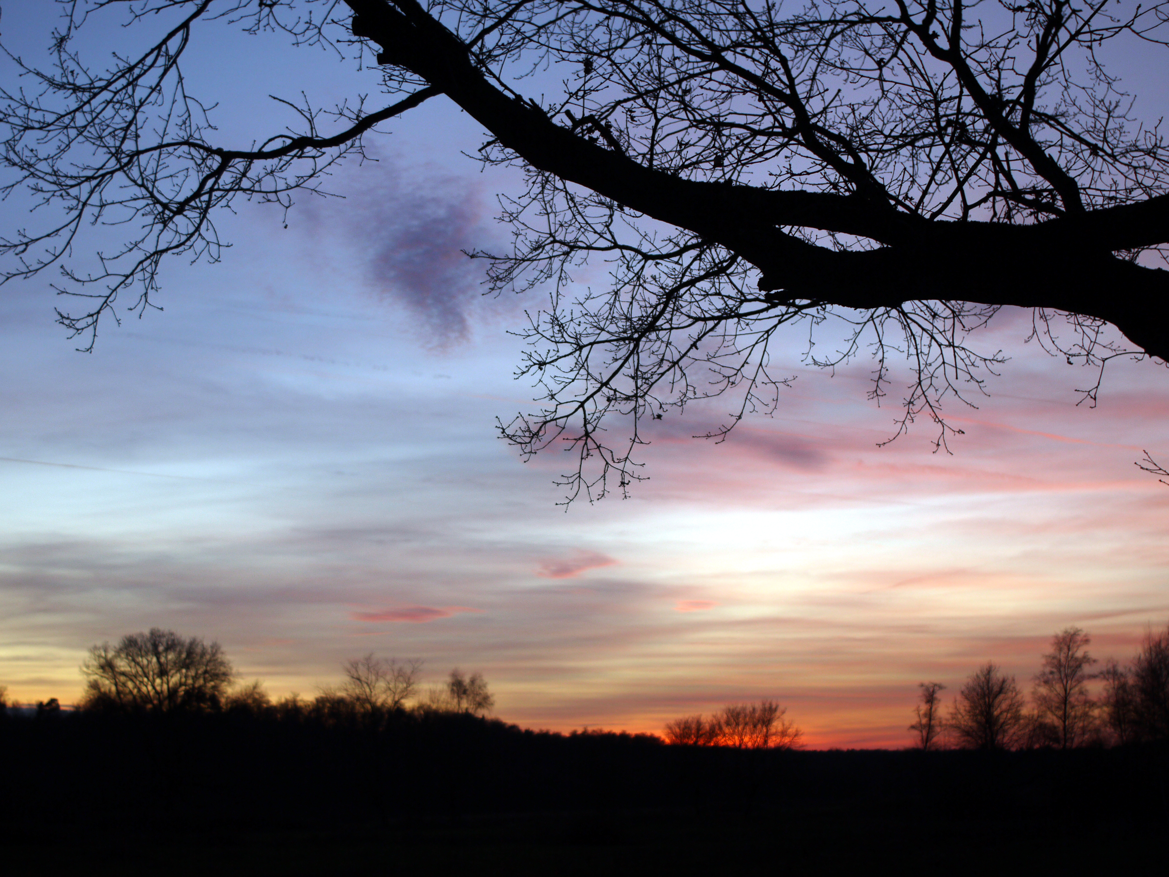 Abendpanorama Nationalpark De Meinweg