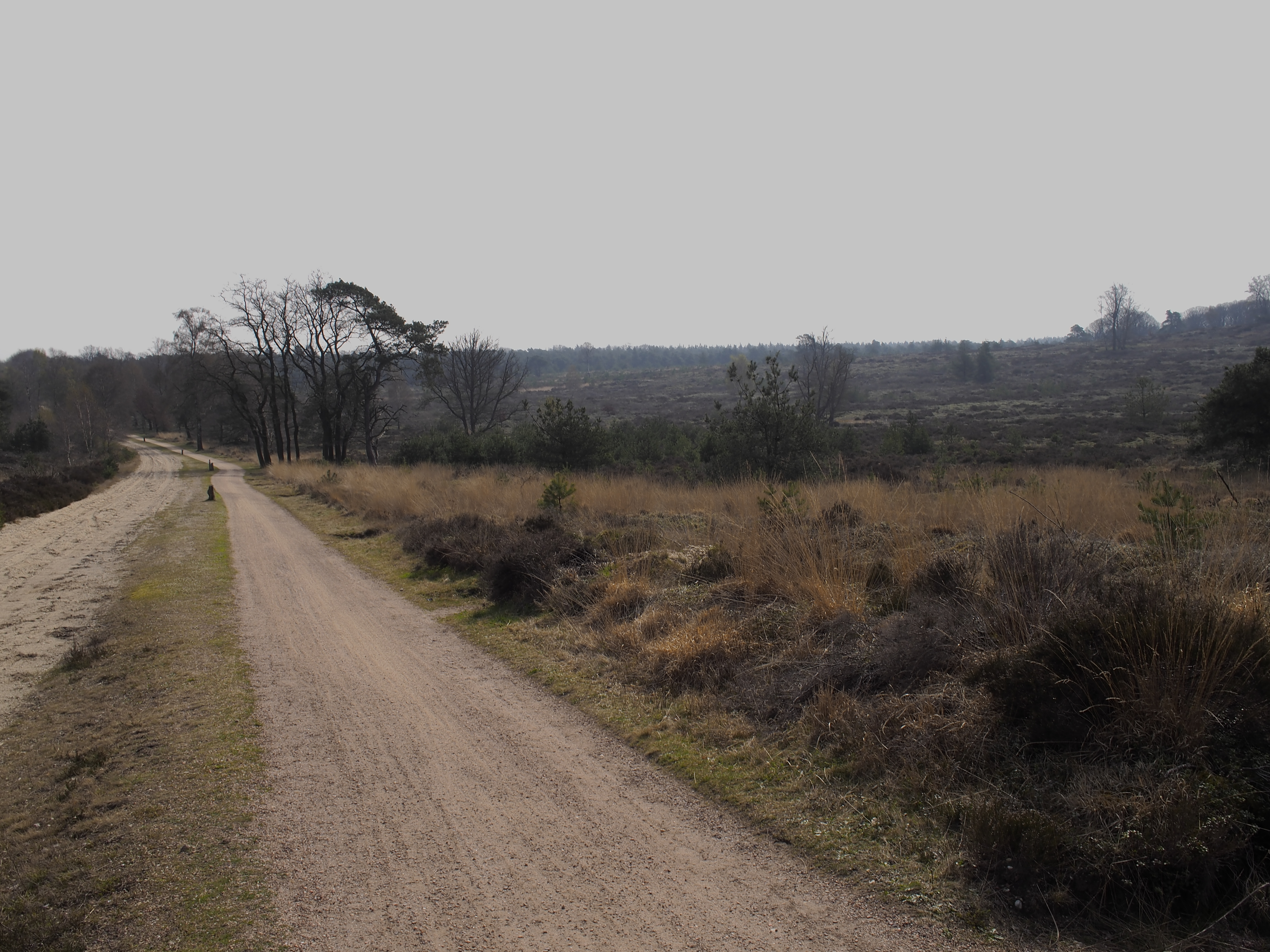 2014 Nijverdal - Sallandse Heuvelrug