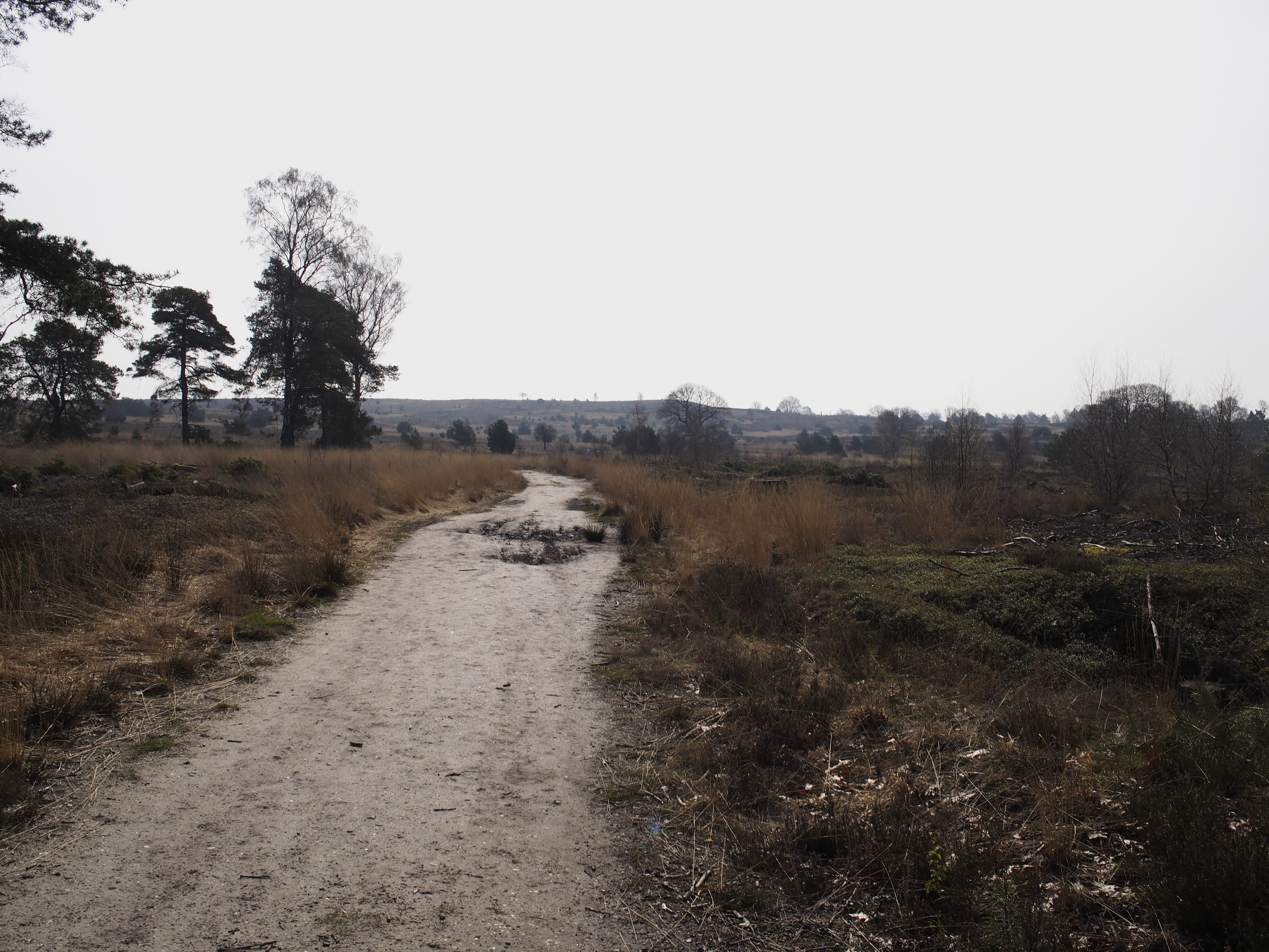 2014 Nijverdal - Sallandse Heuvelrug