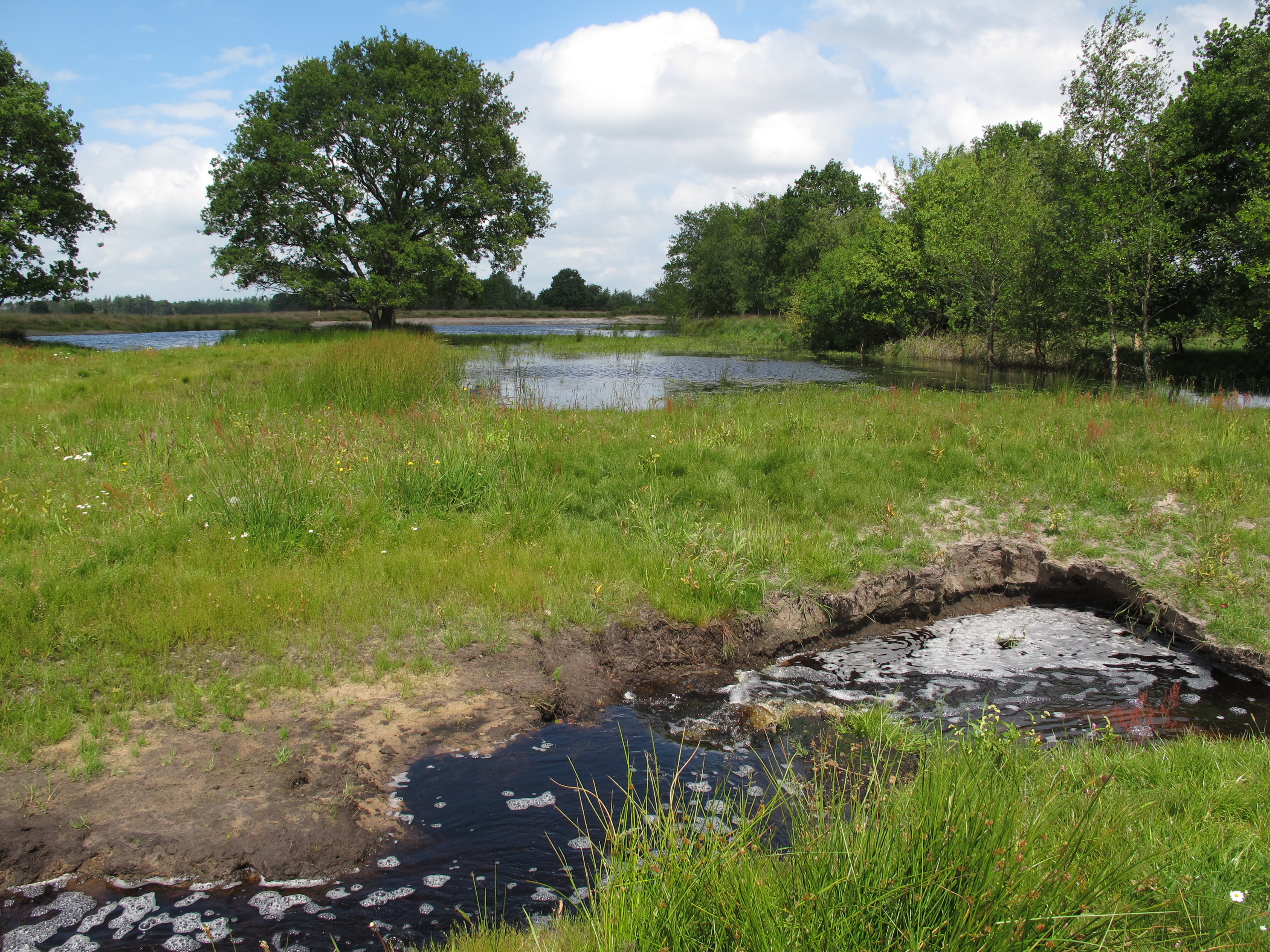 This is a photo or sound file made in Drents-Friese Wold National Park in the Netherlands, with the main subject of the file in the category: landscapes