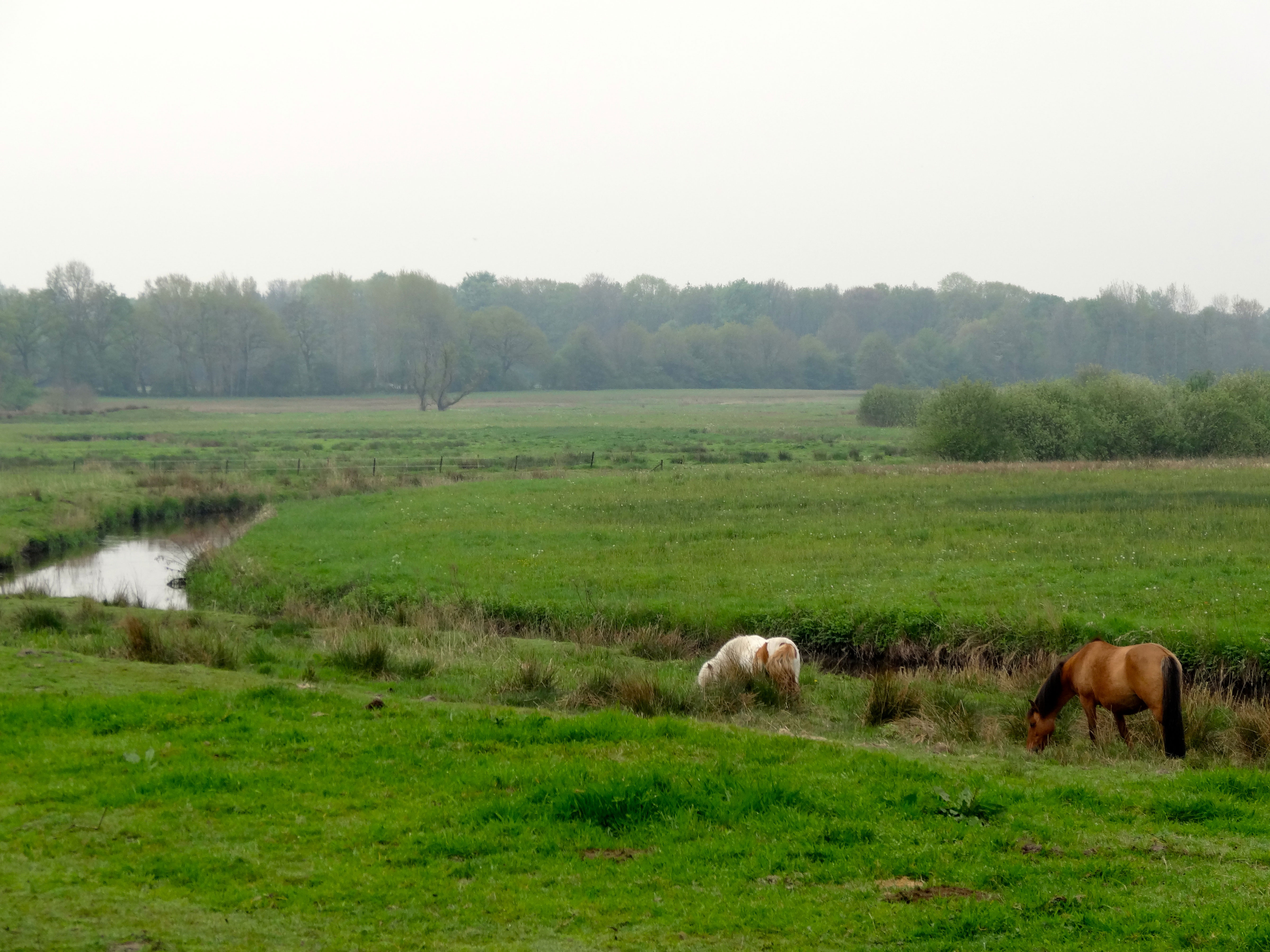 De Drentsche Aa (Schipborgsche Diep) nabij de Kymmelsberg
