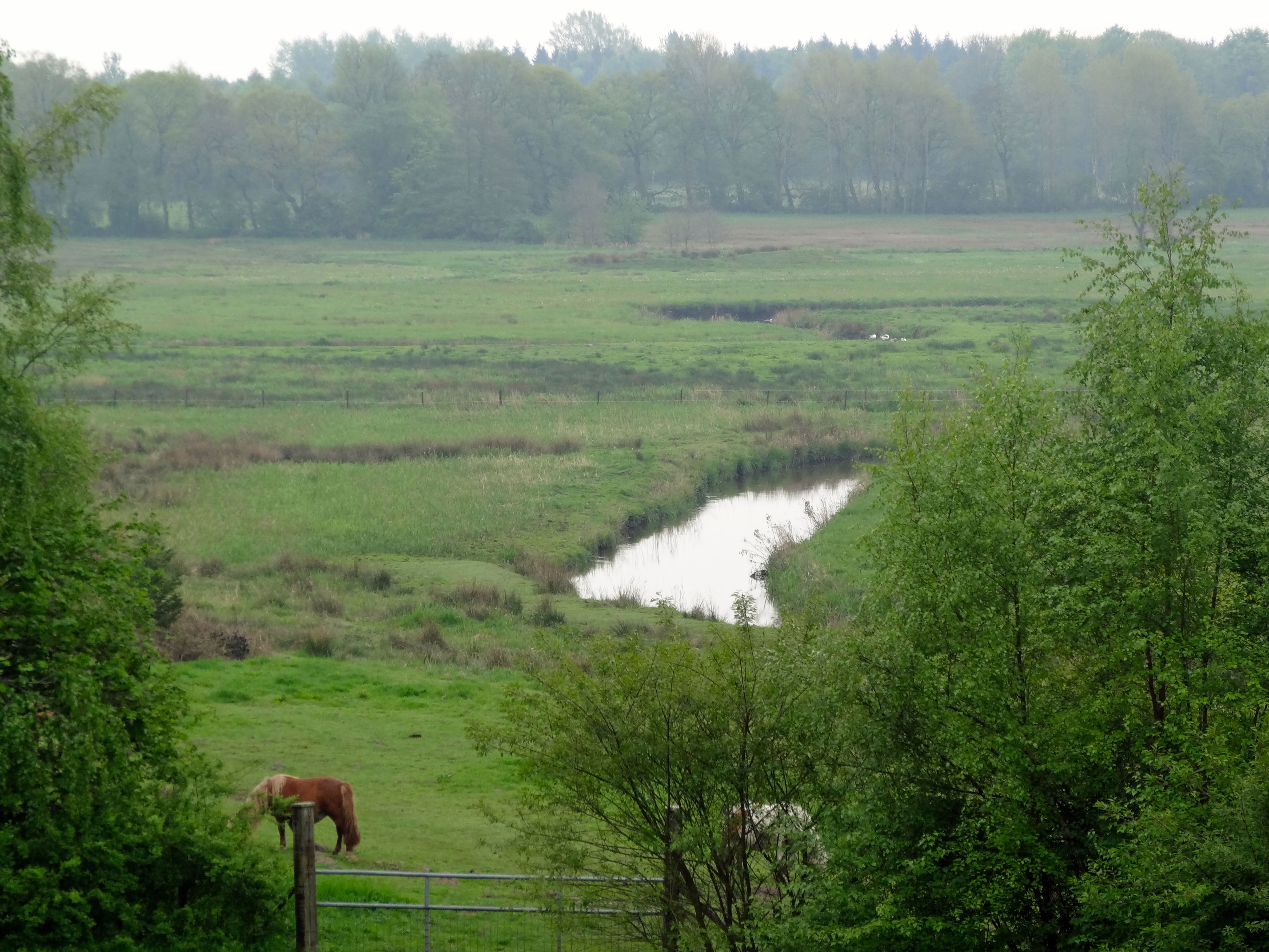 Uitzicht op het stroomdal van de Drentsche Aa (Schipborgsche Diep) vanaf de Kymmelsberg