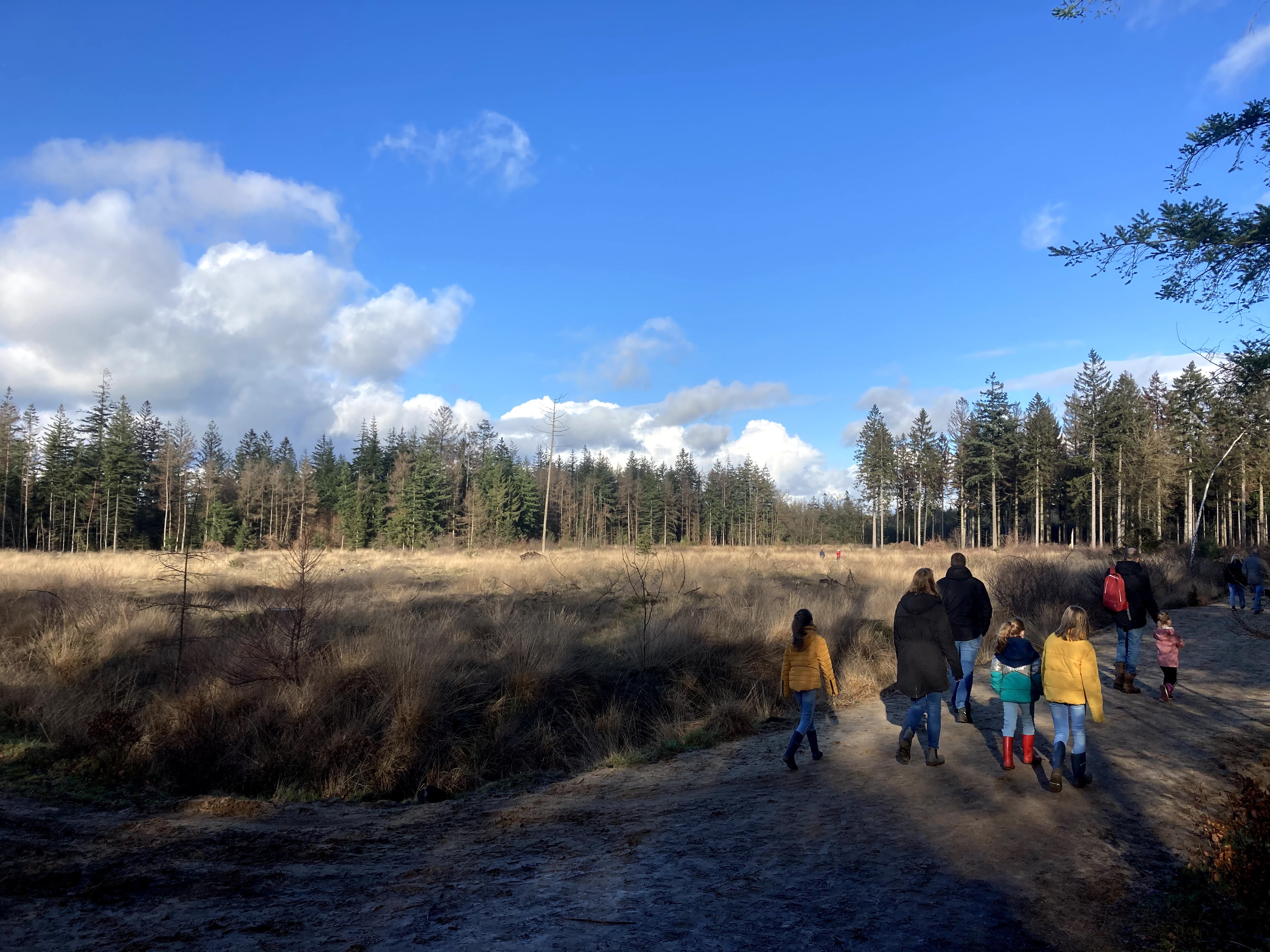 SBB.Natuurmonumenten.Nationaal.Park.DwingelderVeld.Heide.Winter.Corona.Drukte.ZondagMiddag.wandeling.Natuurschoon.Spier