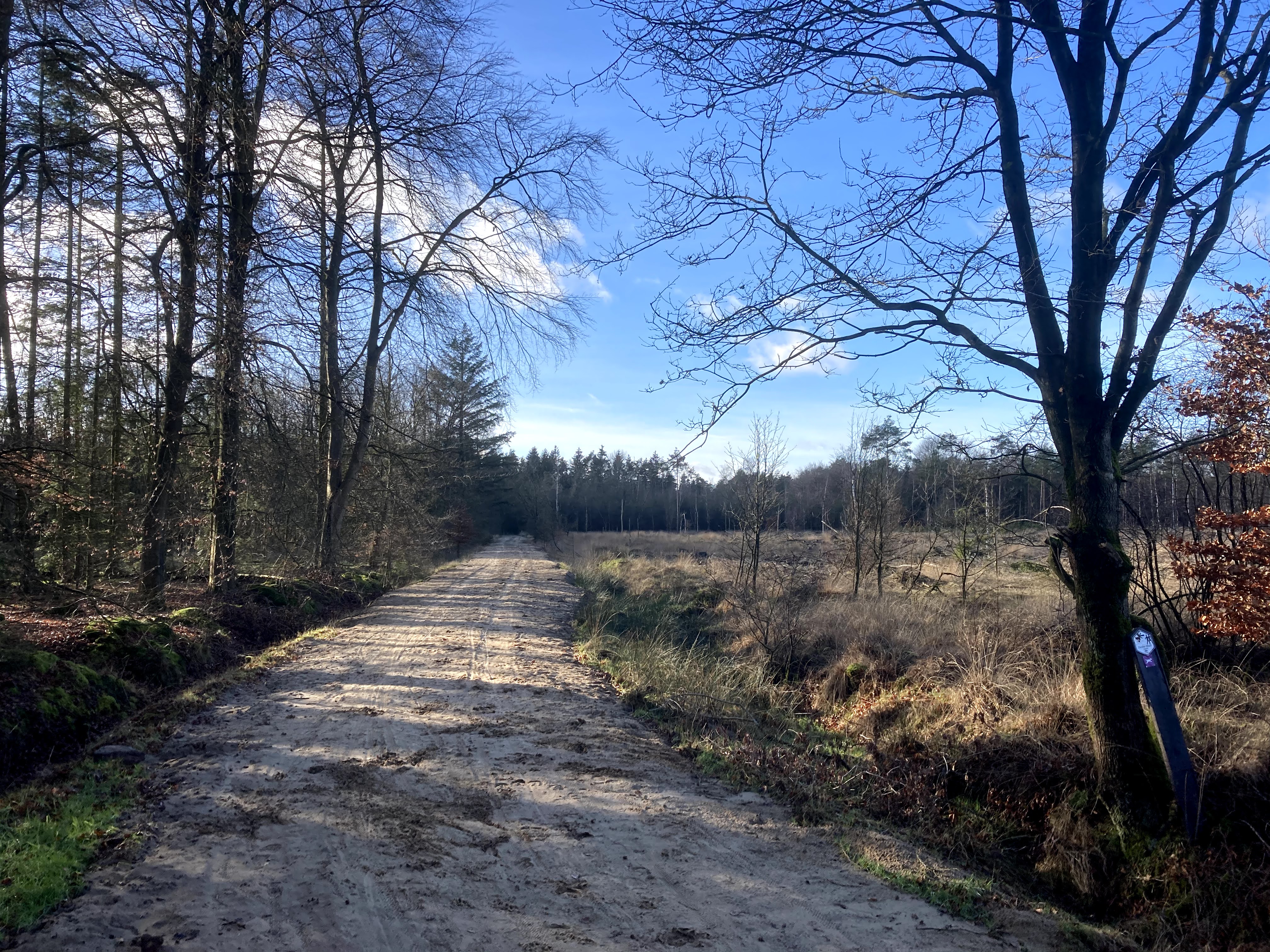 SBB.Natuurmonumenten.Nationaal.Park.DwingelderVeld.Heide.Winter.Corona.Drukte.ZondagMiddag.wandeling.Natuurschoon.Spier