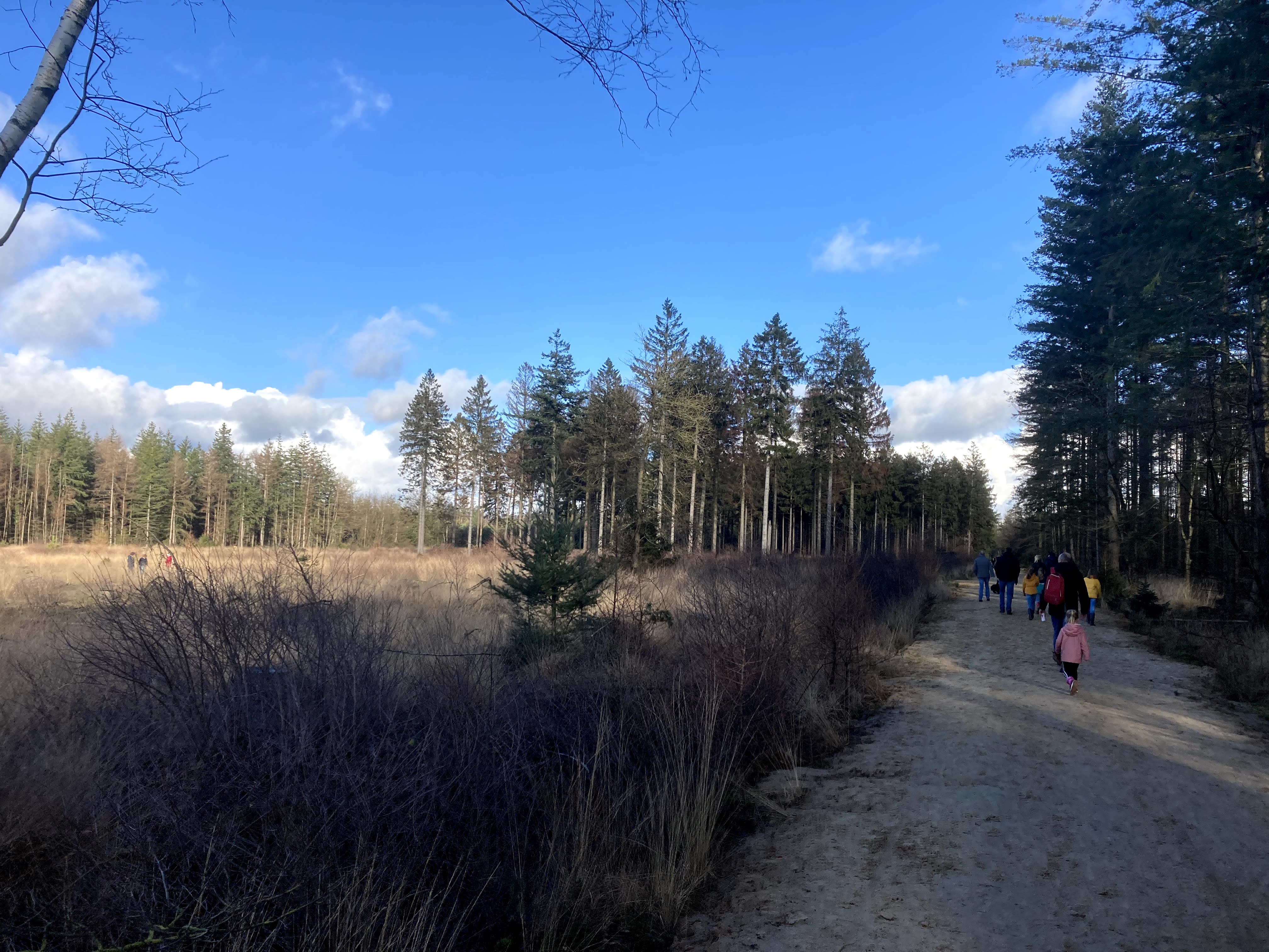 SBB.Natuurmonumenten.Nationaal.Park.DwingelderVeld.Heide.Winter.Corona.Drukte.ZondagMiddag.wandeling.Natuurschoon.Spier