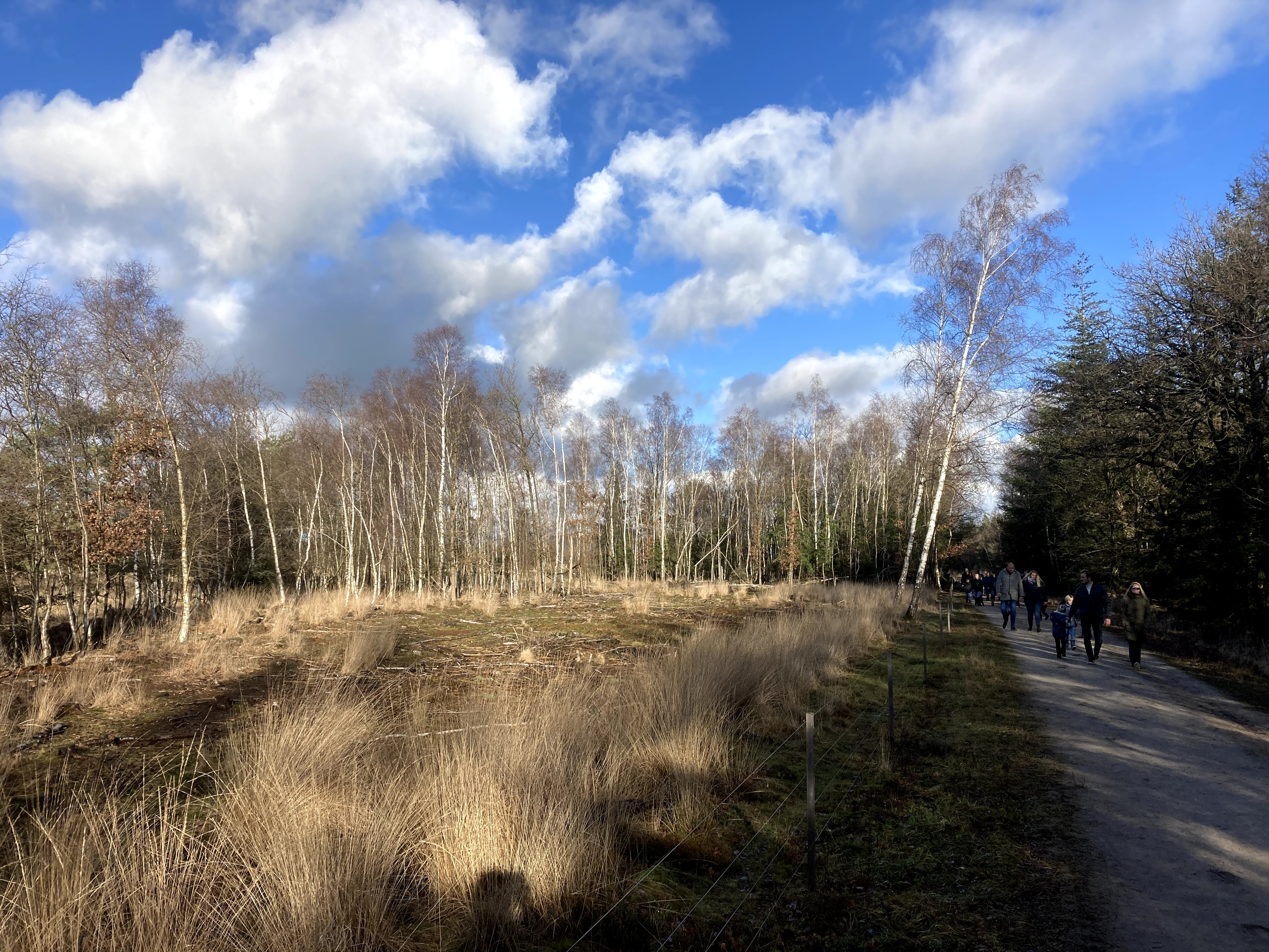 SBB.Natuurmonumenten.Nationaal.Park.DwingelderVeld.Heide.Winter.Corona.Drukte.ZondagMiddag.wandeling.Natuurschoon.Spier