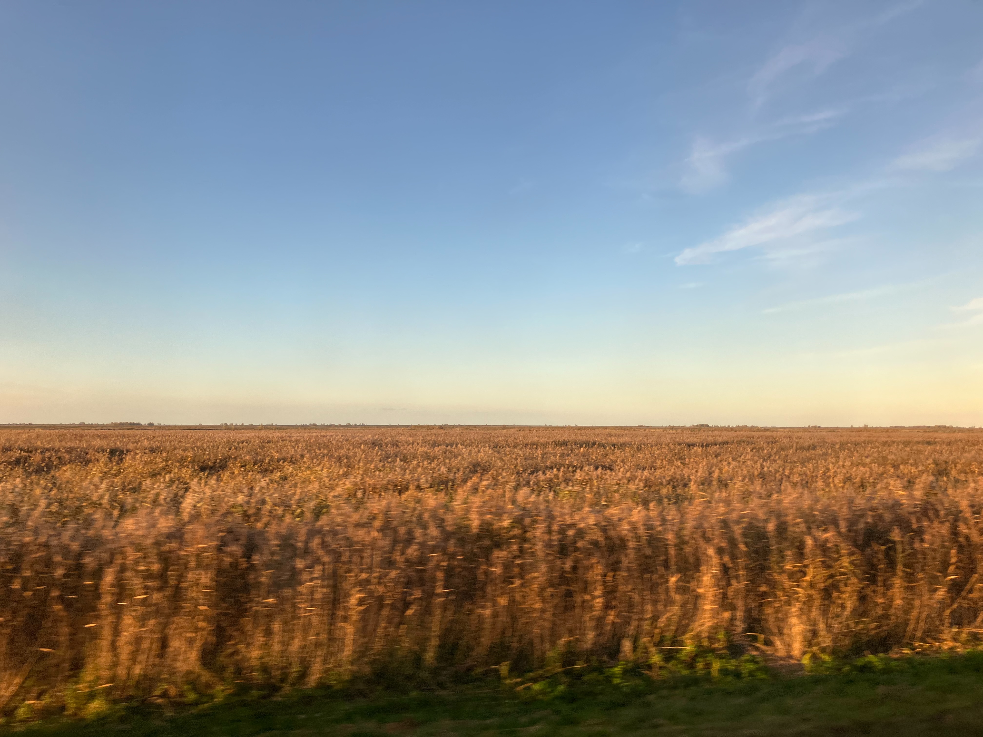 Nationaal Park Nieuw Land, Almere, Nederland, November 2025