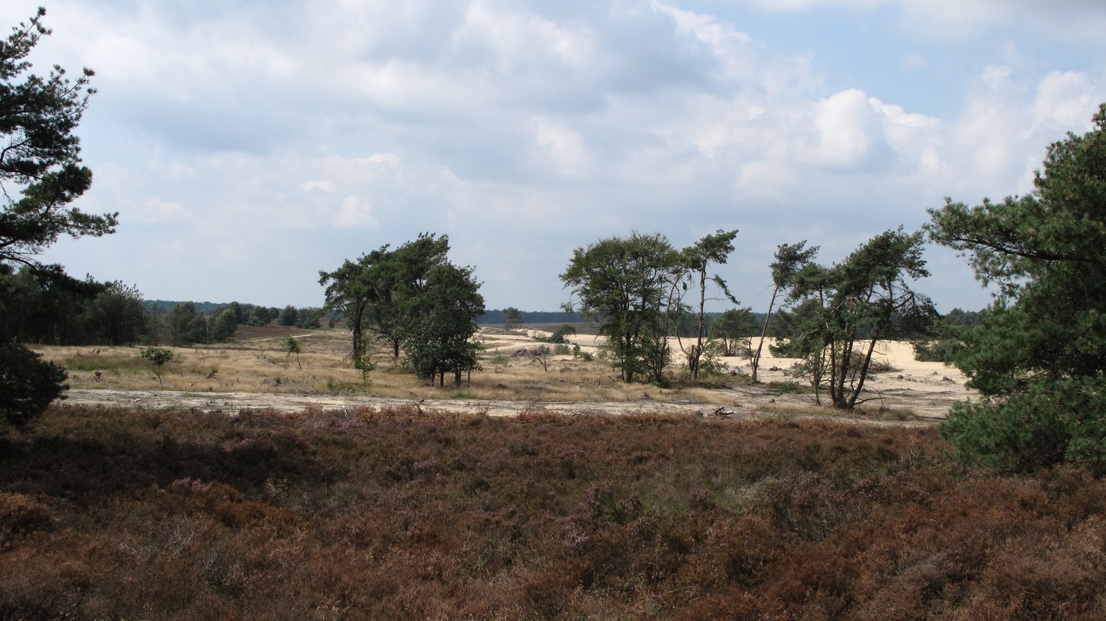 6991 Rheden, Netherlands