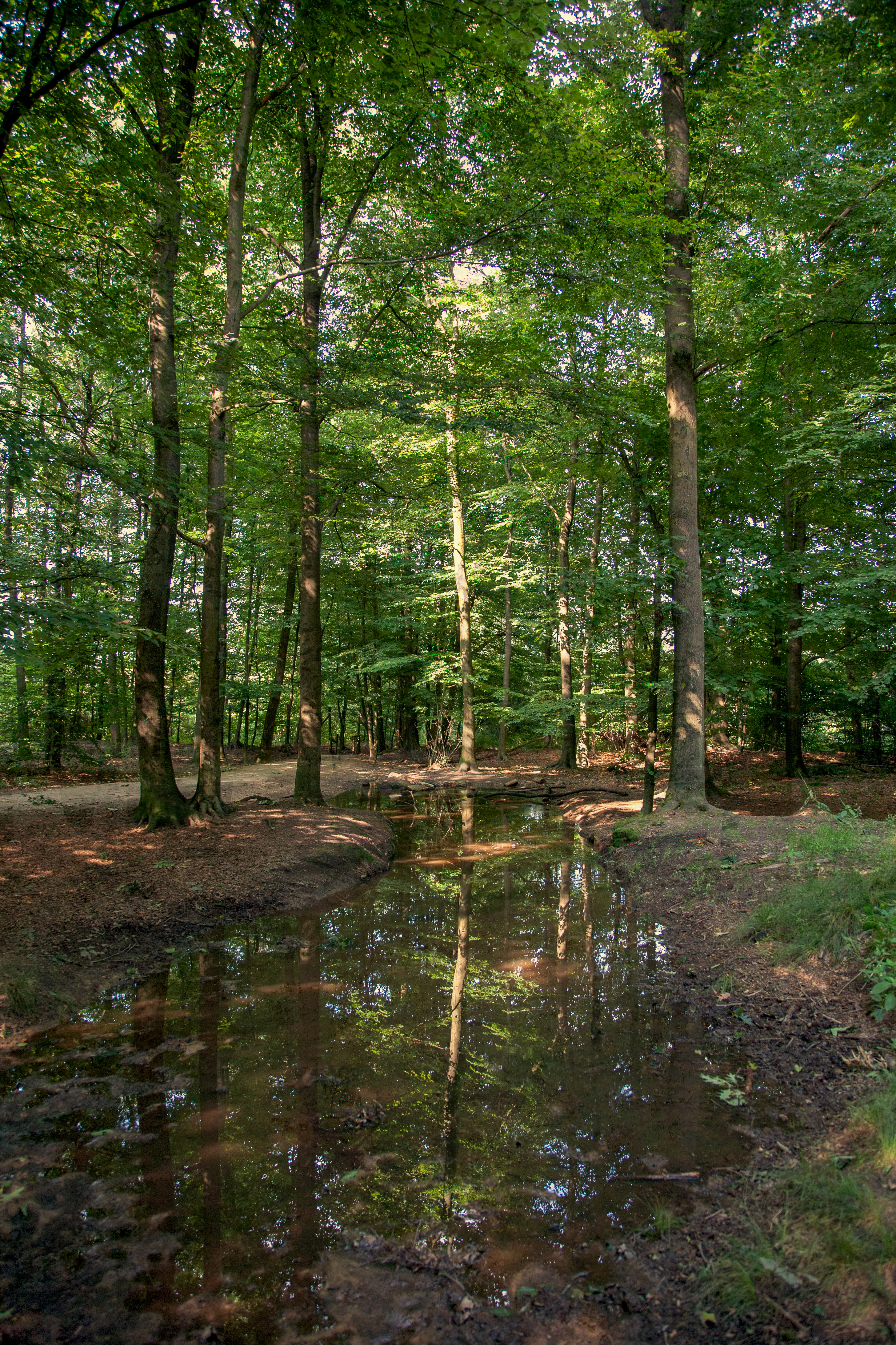 This is a photo or sound file made in Veluwezoom National Park in the Netherlands, with the main subject of the file in the category: landscapes