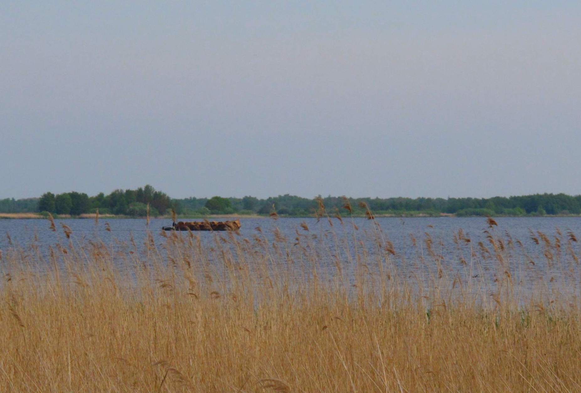 This is a photo or sound file made in De Weerribben-Wieden National Park in the Netherlands, with the main subject of the file in the category: landscapes