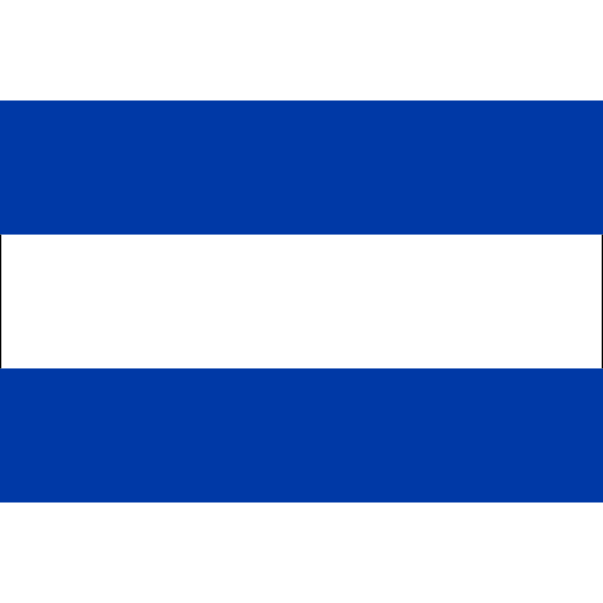 Vlag van Bornerbroek, Overijssel