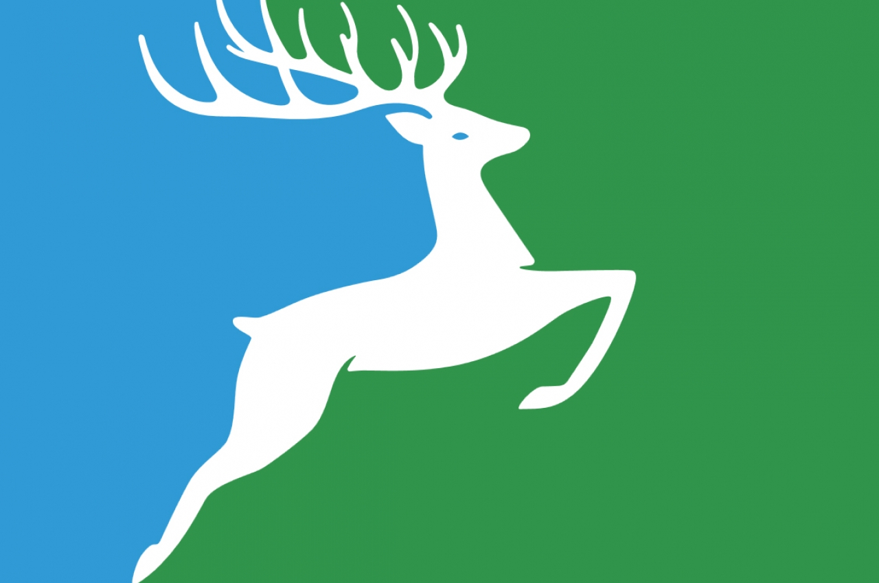 Vlag van De Steeg, Gelderland