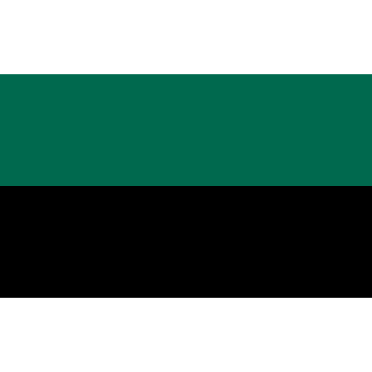 Flag of Den Hoorn, North Holland