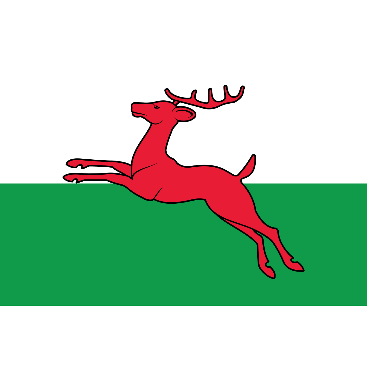 Vlag van Goëngahuizen, Fryslân