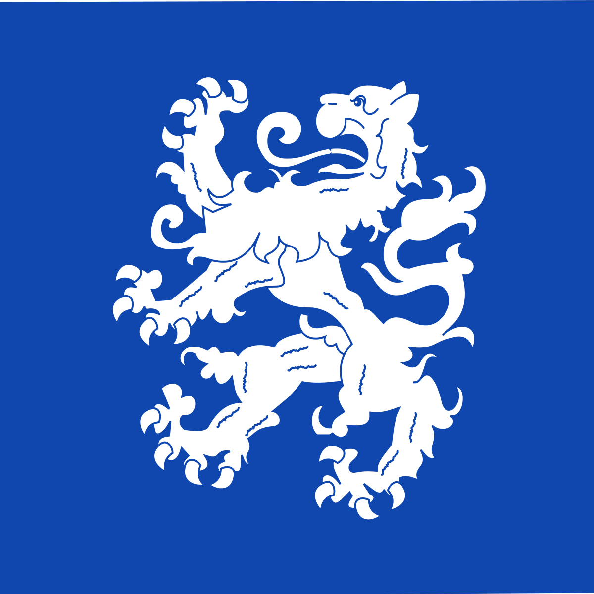 Flag of Heemskerkerduin, North Holland