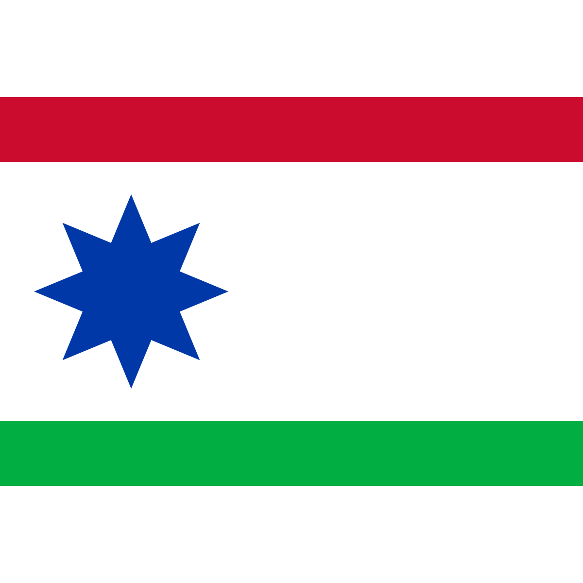 Vlag van Wildpad, Fryslân