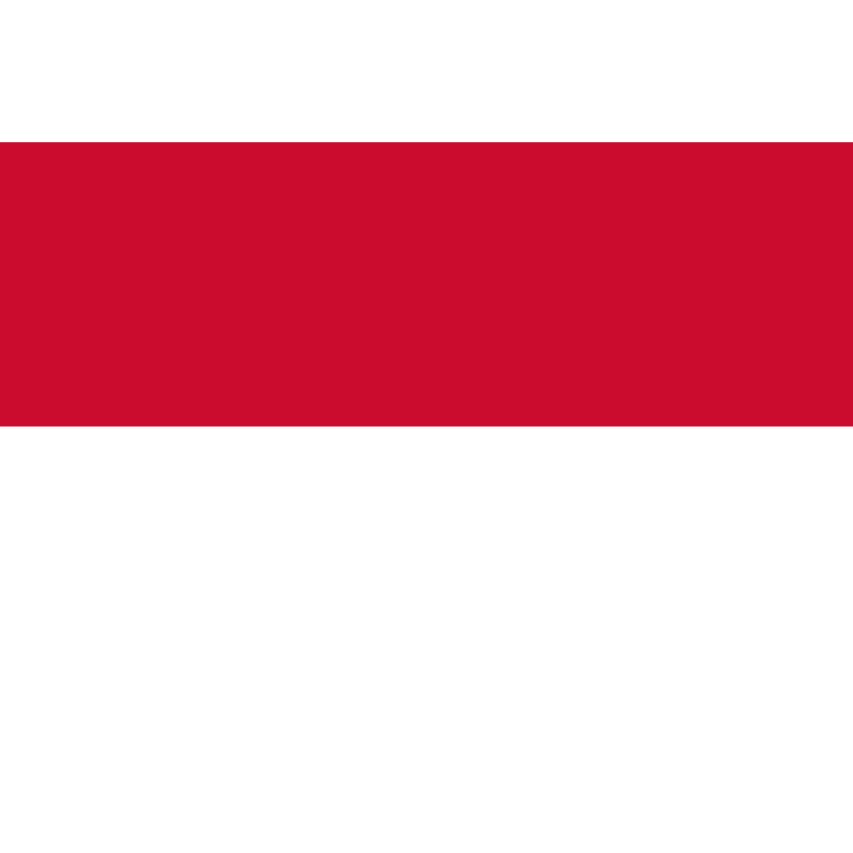 Flag of Locht, Limburg