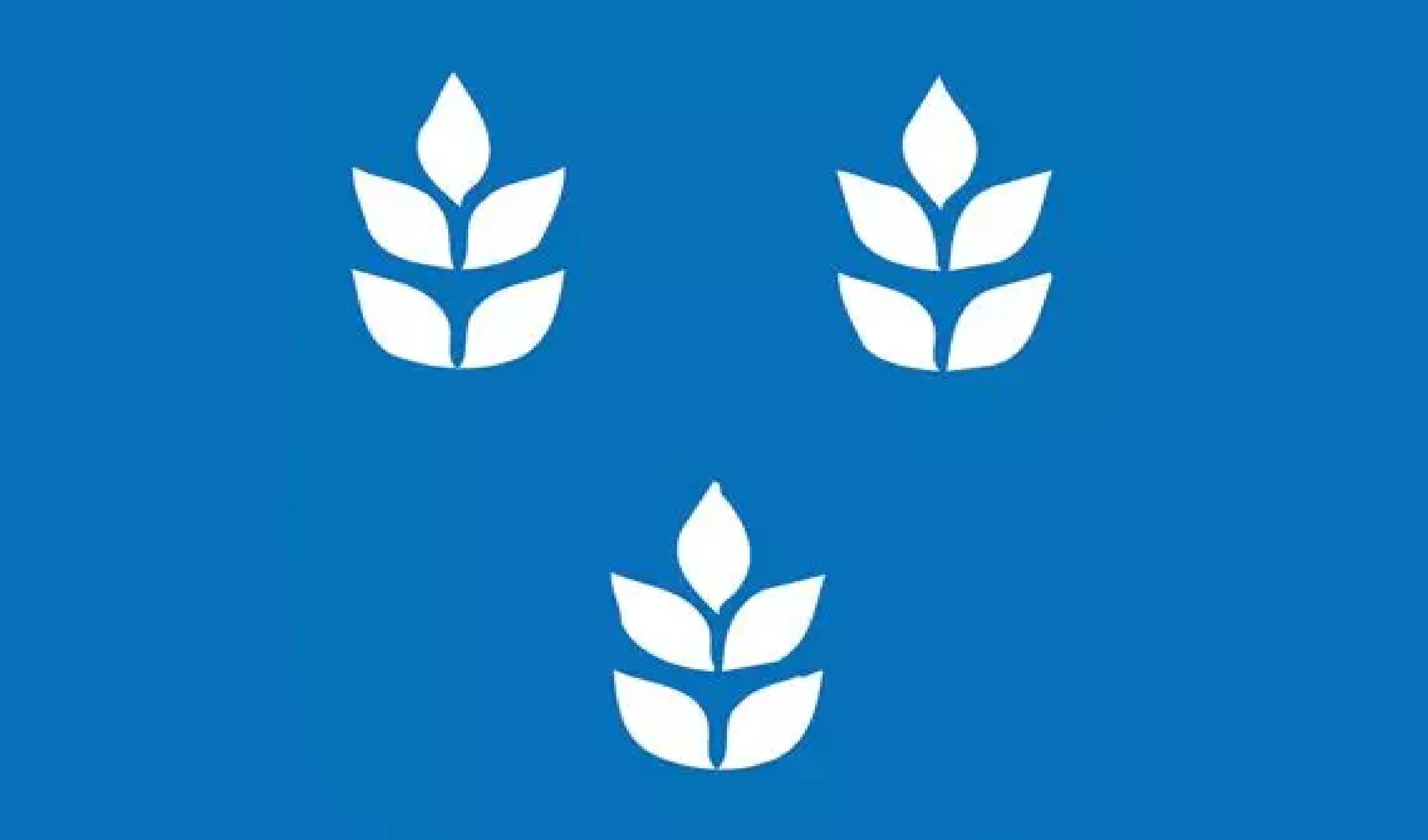 Rijsoord