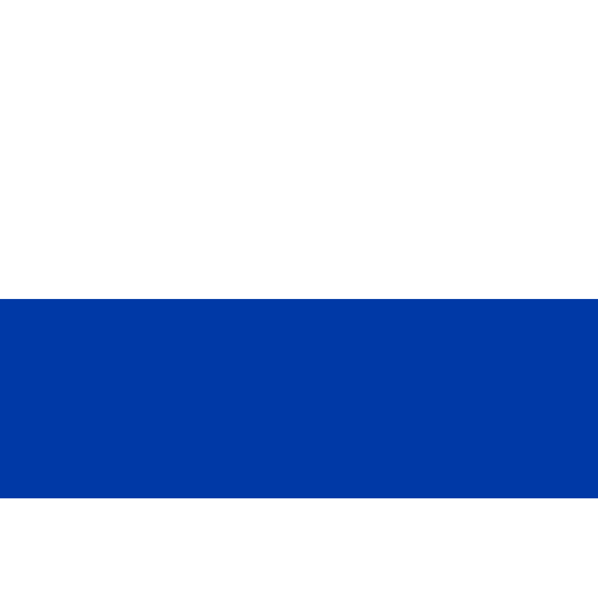 Vlag van 's-Heerenbroek, Overijssel