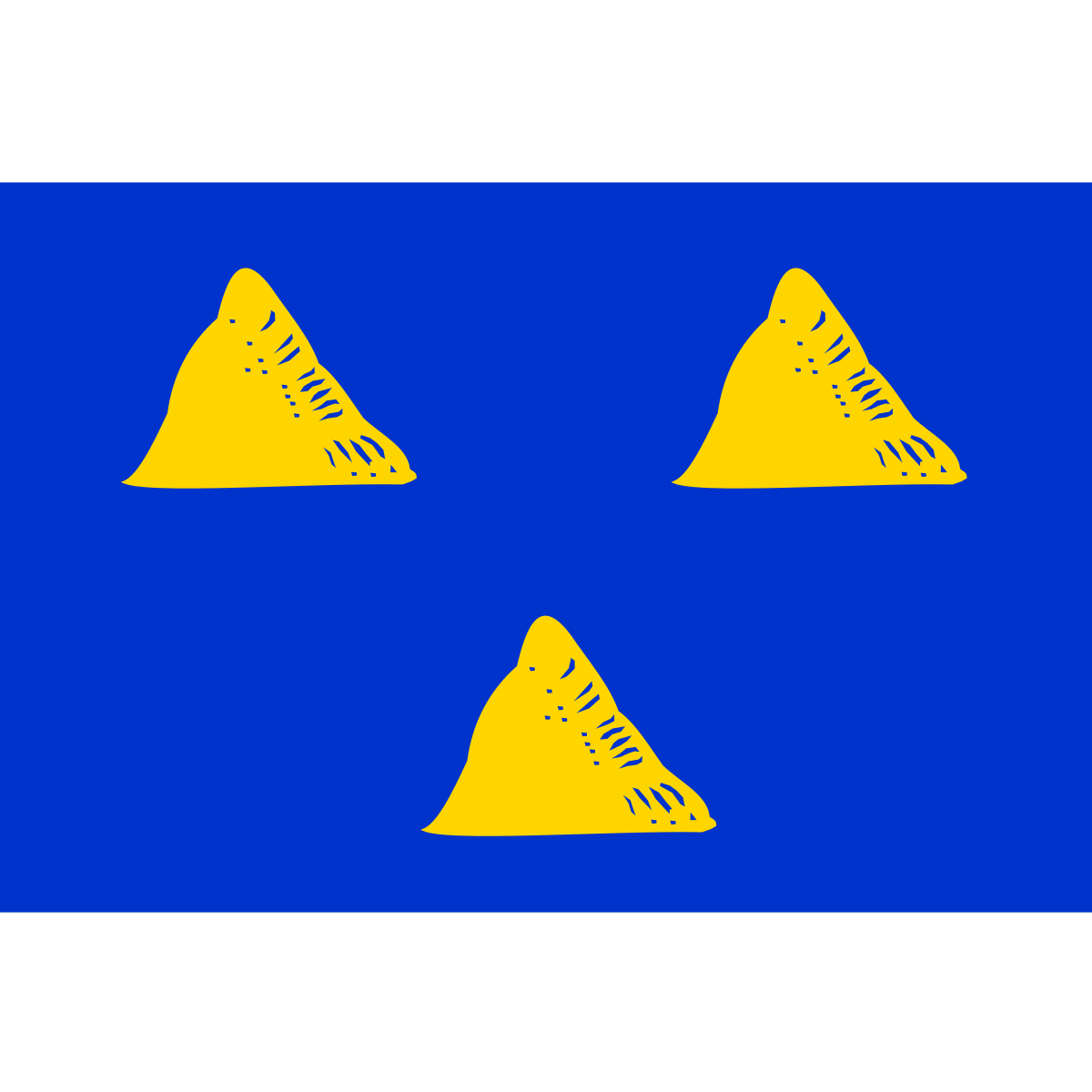 Vlag van Vasse, Overijssel