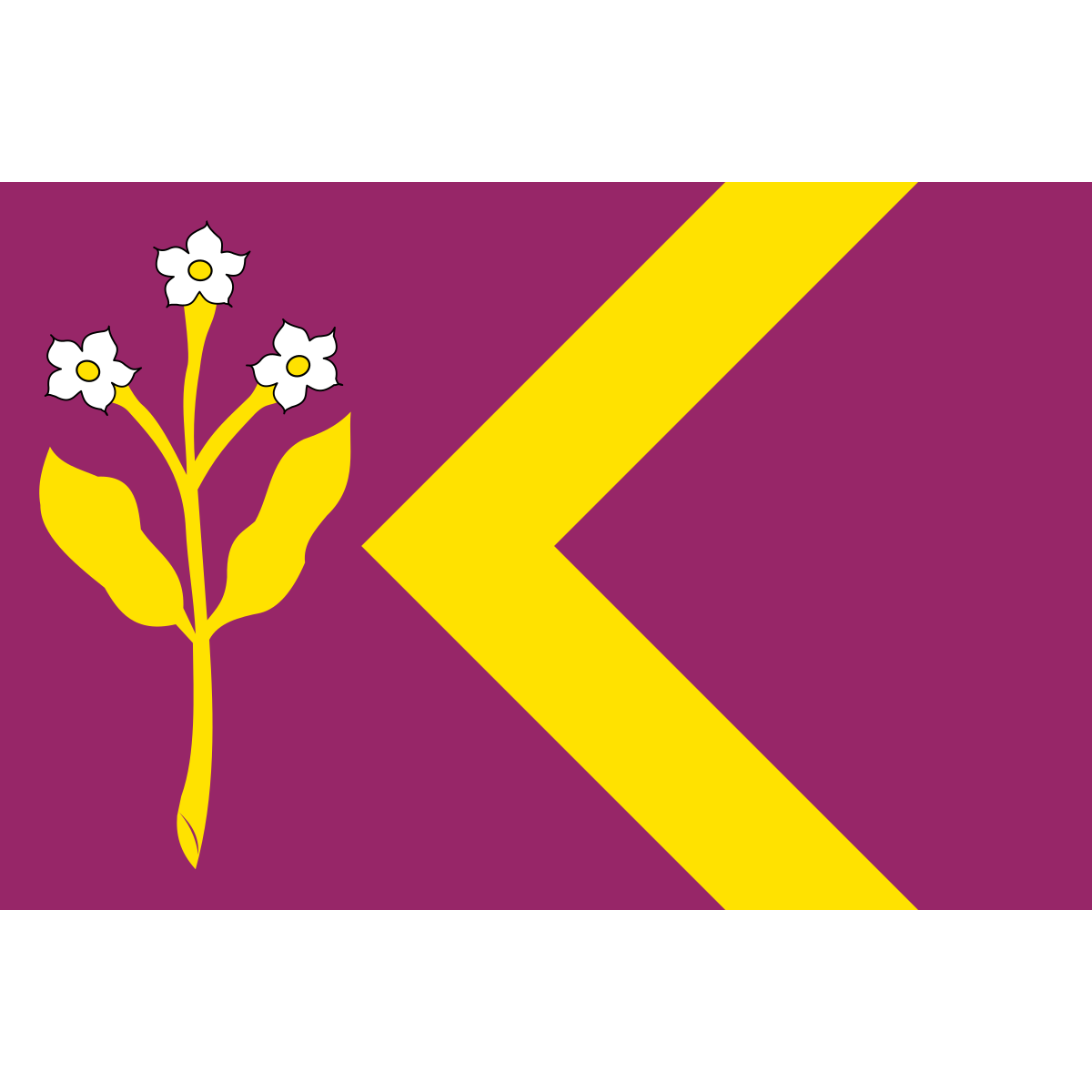 Vlag van Zorgvlied, Drenthe